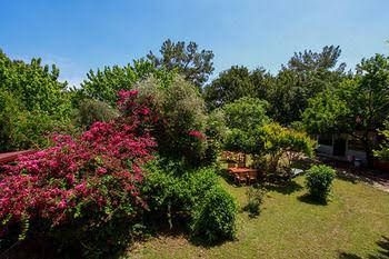 Baris Pension & Bungalows0