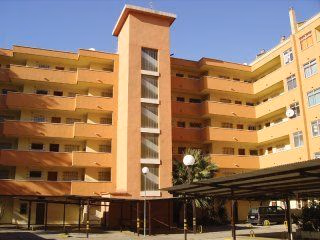 Iris Bahia Dorada3