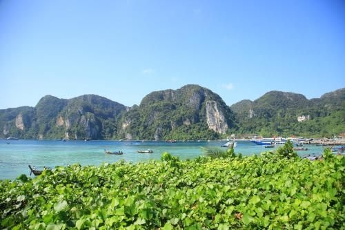 ชาวเกาะ พีพี โฮเทล แอนด์ รีสอร์ต (ChaoKoh Phi Phi Hotel & Resort)3