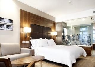 AC Hotel Baqueira Autograph Collection4