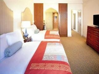 Atlantis-The Palm Dubai0