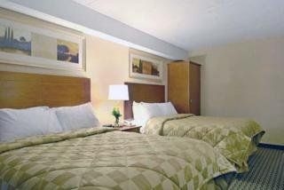 Comfort Inn (New Glasgow)1