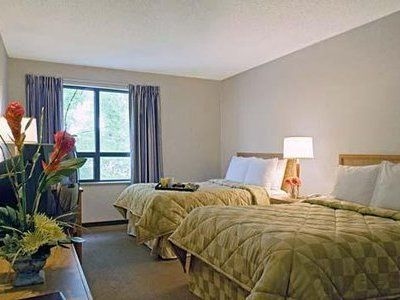 คอมฟอร์ต อินน์ (Comfort Inn Rock Forest)4