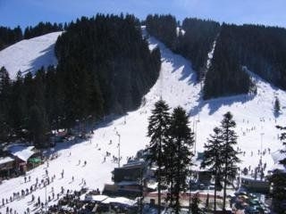 Victoria Borovets3