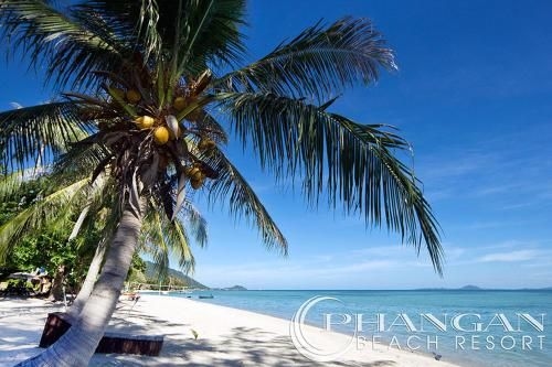 พะงัน บีช รีสอร์ท (Phangan Beach Resort)0