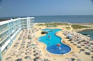 Dolphin Marina3