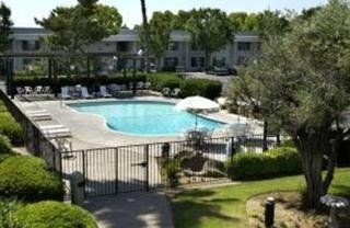 America's Best Value Water Tree1