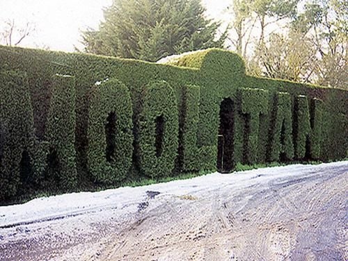 Mooltan House0