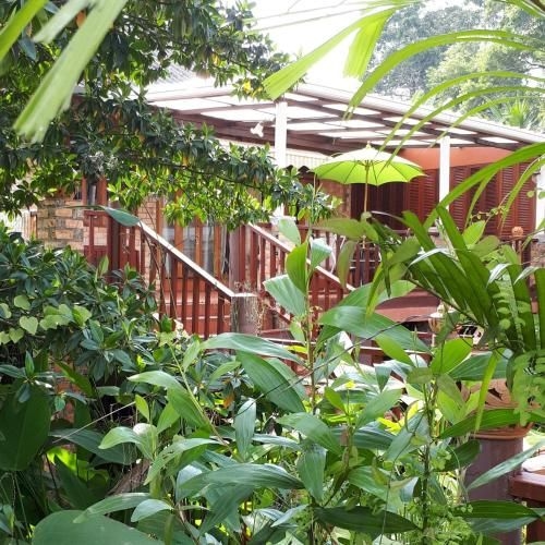 ซี ไพน์ส แอนด์ ลิเบิร์ก (Sea Pines & Liberg)1