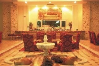 Sun Palm3
