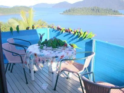 Coral Point Lodge1