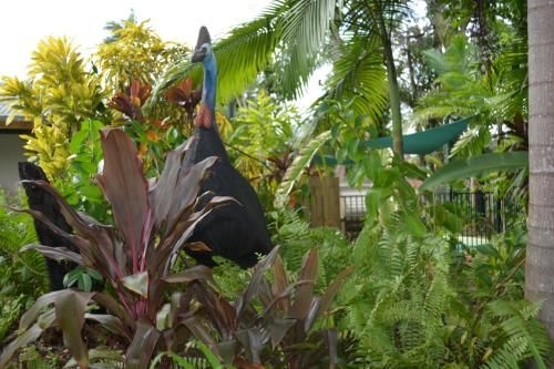Rainforest Motel4