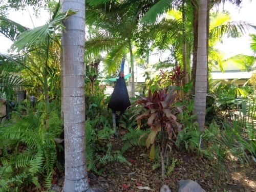 Rainforest Motel1