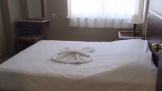 Iguana Apart2