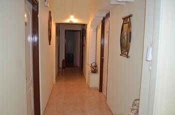 Palatino Studios0