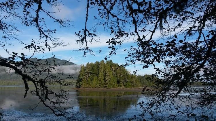 Ecolodge - Tofino0