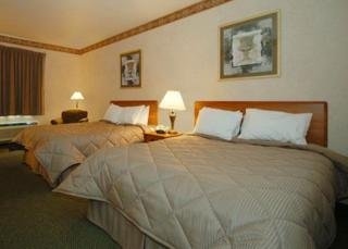 Comfort Inn & Suites1
