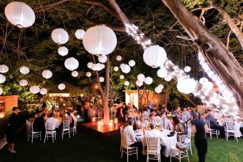 The Billi Resort4