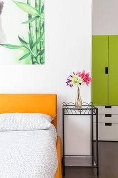 Bamboo B&B0