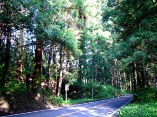 โฮเทล ฟามิทีค เมียวจิน (Hotel Famitic Myojin)0