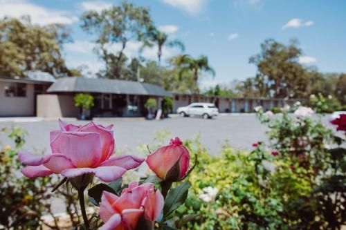 Artesian Spa Motel1