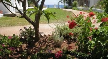 Nicholas Beach Studios0