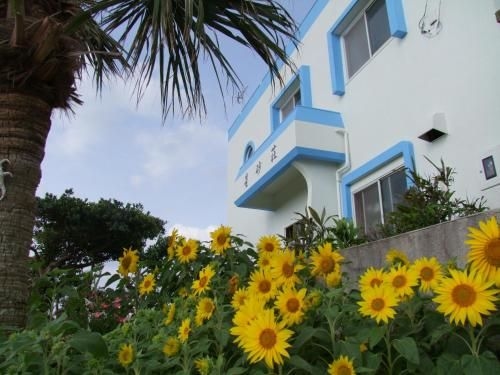 โรงแรมโฮชิซึนาโซะ (Hoshizunaso Hotel)0