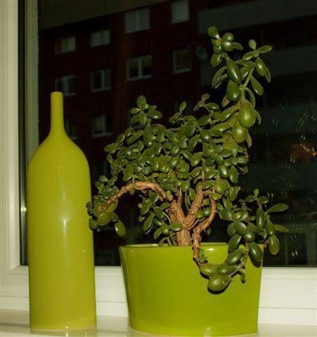 Apartament Mozaika0