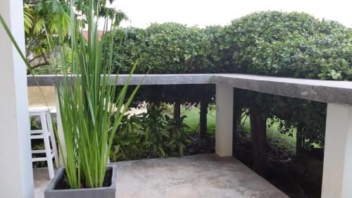 แอทปาย รีสอร์ท (At Pai Resort)2