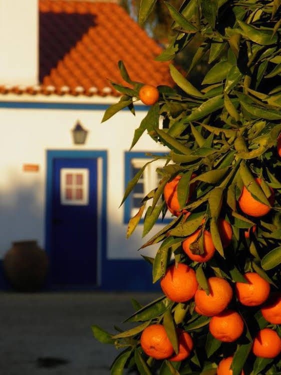 Monte de Portugal0