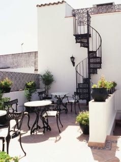 Los olivos2