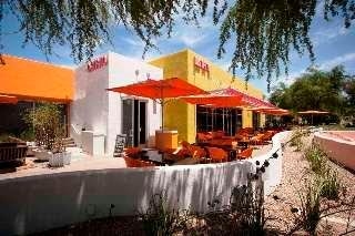 The Saguaro3