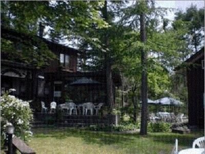 Grass Hopper4