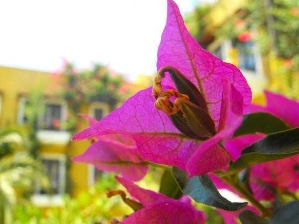 Meldi Hotel0