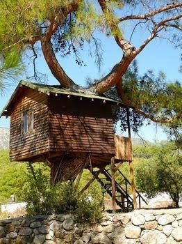 Olympos Woods0
