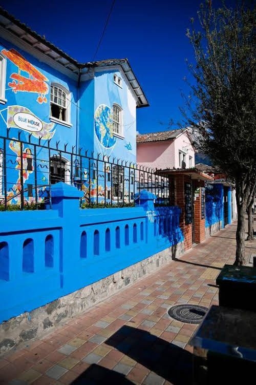Hostal Blue House0