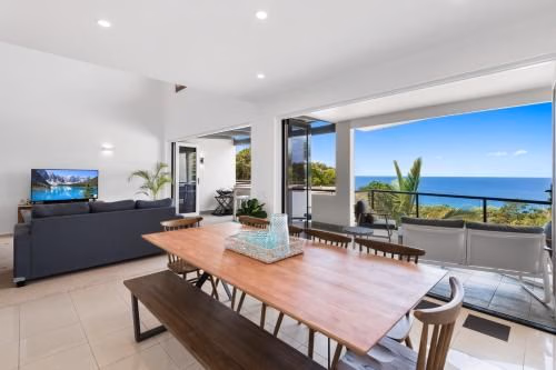 Papillon Coolum4