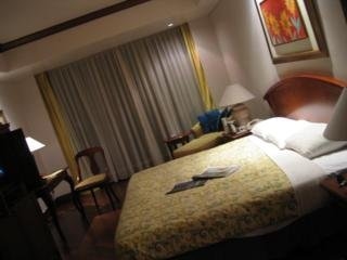Sheraton Bandara Hotel2