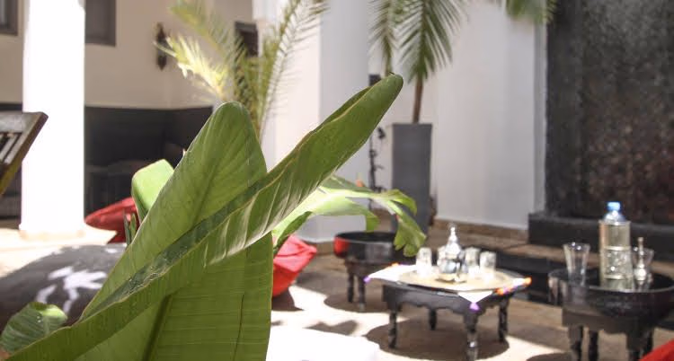 Riad 640