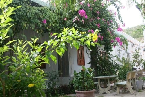 Duc Thao Guest House0