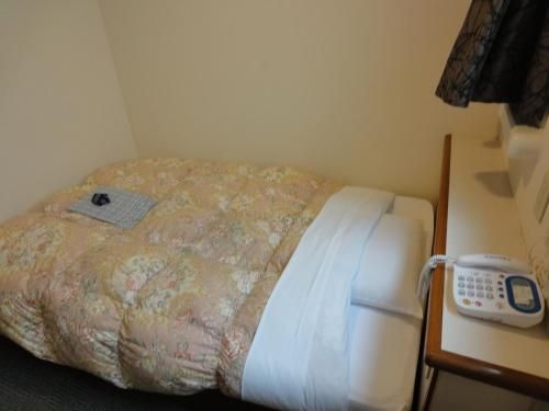 โรงแรมมัตสึเอะ พลาซา แอนเนกซ์ (Matsue Plaza Hotel Annex)1