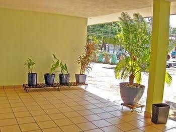Hotel Avenida0