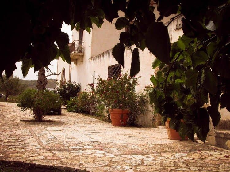 Fattoria Manostalla0