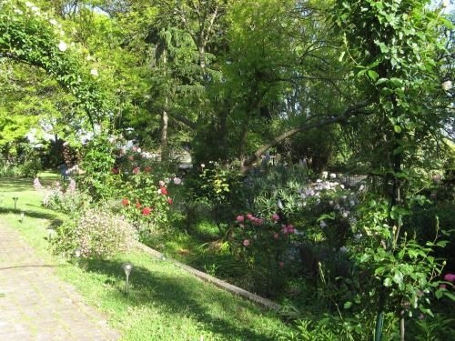Westella Colonial B&B Accommodation4