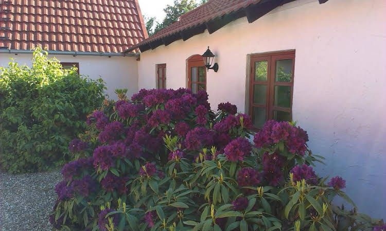 Vranum Bed & Breakfast0