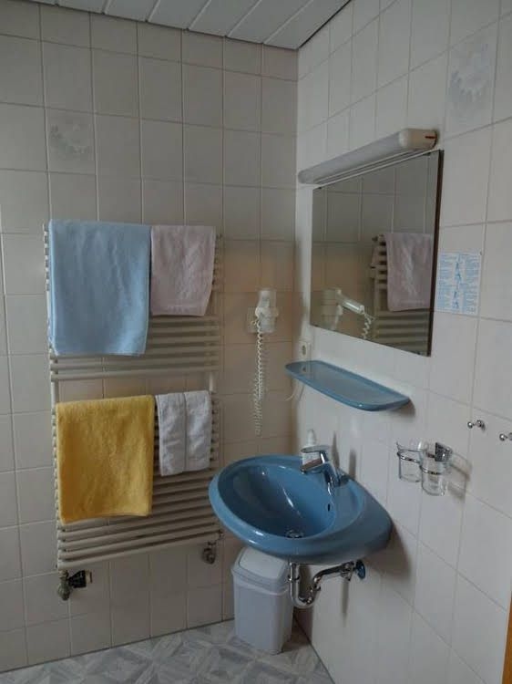 Hotel Viktoria Garni0