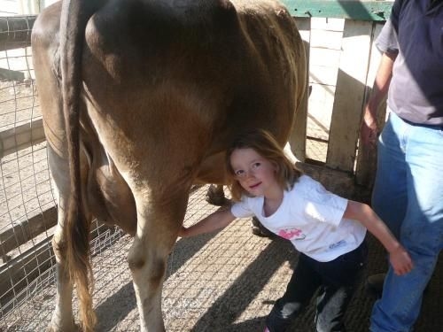 Bestbrook Mountain Farmstay (Bestbrook Mountain Resort)2