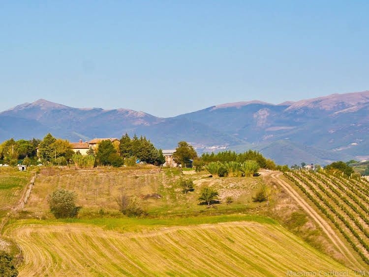 Agriturismo San Vito0