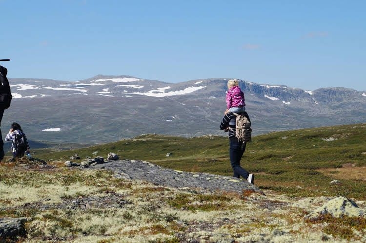 Liatoppen Fjellstue0