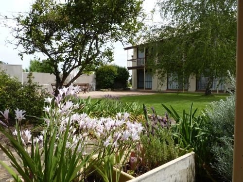 Coonawarra Motor Lodge0